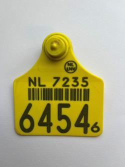 Ear tag